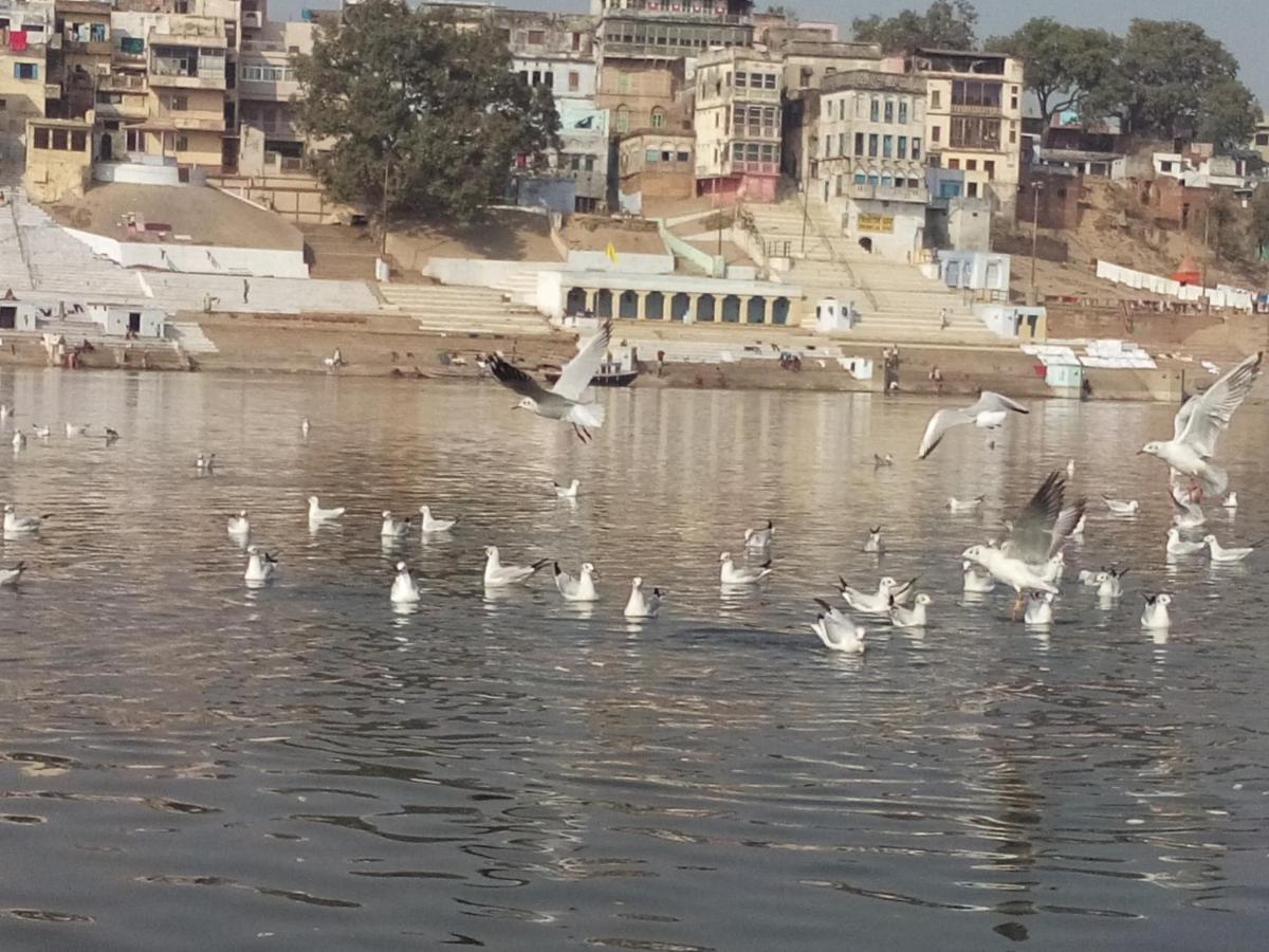 Lodge Tandon On The Ganga Ghat